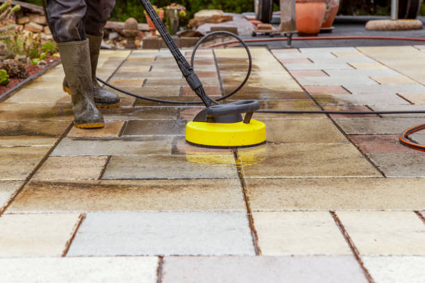 Best Roof Washing  in Pine Mountain Clu, CA