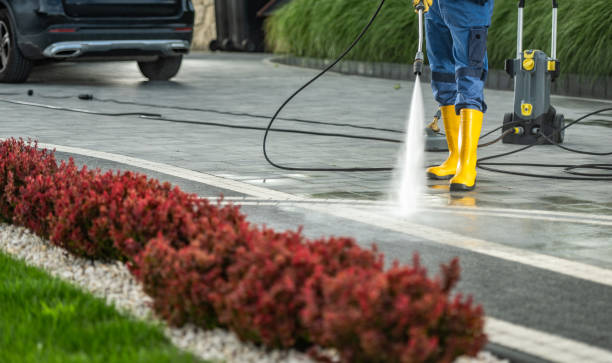 Spring Cleaning in Pine Mountain Clu, CA